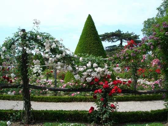 Salomon de Caus Innovator - Gardens Baroque to Rococo Spirit | The ...