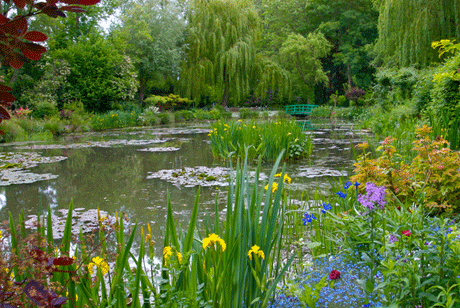 Claude Monet the Gardener at Giverny - Elizabeth Murray | The Culture ...